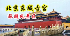 美女日逼黄色视频一级中国北京-东城古宫旅游风景区